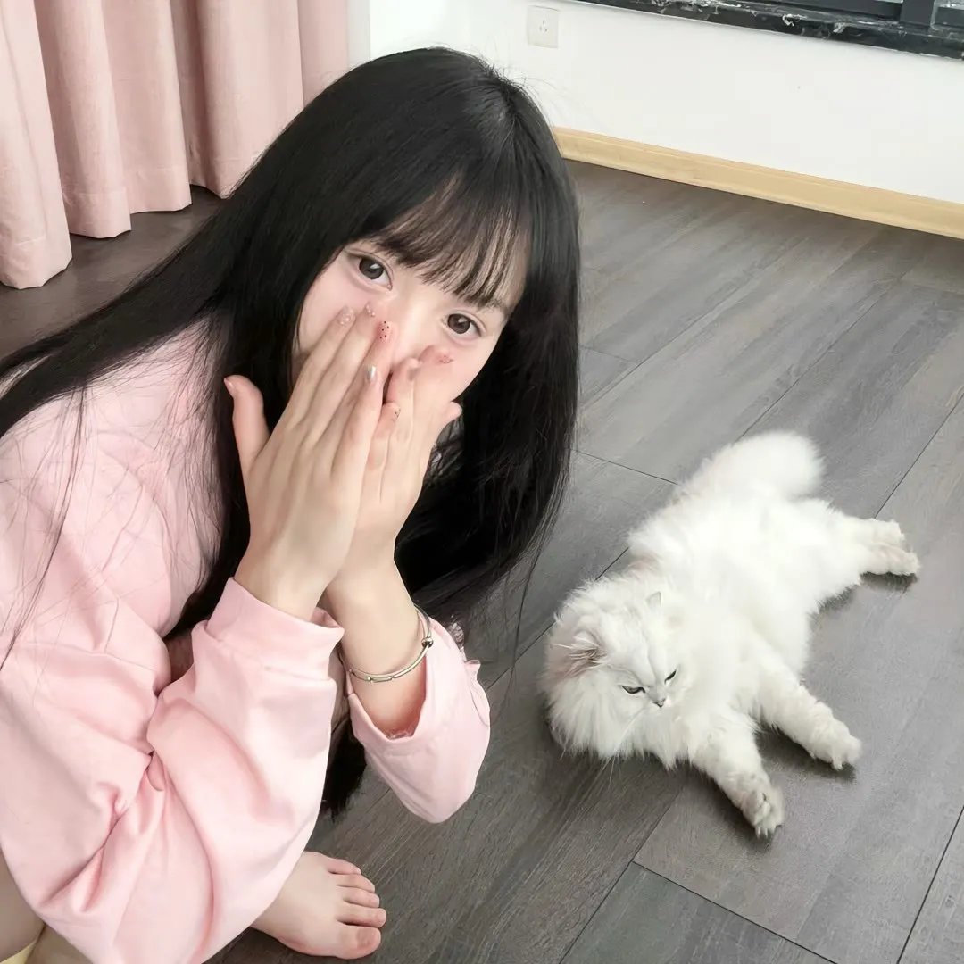 狡猾的兔小姐海报