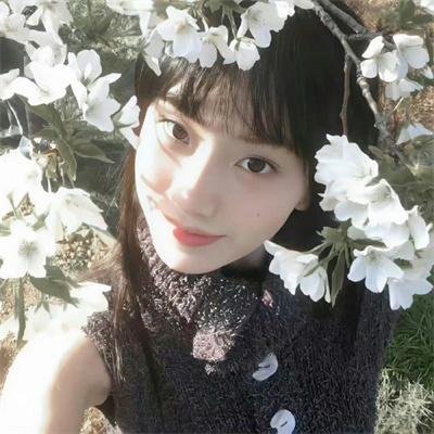 美国派之昏礼海报